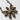 Sorrelli Necklace