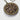 Sorrelli Necklace