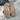 Sandals 6.5