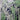 Links Top Large