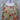 Chico's Top Medium