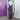 Laurence Kazar Formal Small