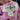 Umgee Top Large