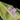 Pink Lily Dress Large