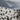 Apt. 9 Top Large P