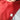 Zenergy By Chico's Jacket Small