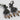 Sorrelli Earrings