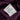 Studio Y Semi Formal Small