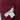 Liz Claiborne Cardigan PL