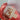 GB Semi Formal Small