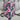 Buxton Crossbody Handbag