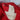 Chico's Jacket Medium