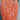 Jonathan Kane Formal 4