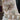 Mac Duggal CLEARANCE FORMAL 6