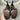 Stuart Weitzman Shoes 8.5