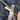 iMove Pants Medium