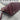 Dooney & Bourke Purse Burgundy Leather Very Good