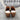 Chocolat Blu Shoes Tan Very Good Size 7