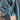 Cachet Jacket 16