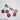 Fashion Jewelry Earrings