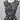 H&M Dress 12-Dress-H&M-Black/Beige/Gray-12-Used-Consignment Cat