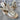 Pierre Dumas SANDALS 11.0-SANDALS-Pierre Dumas-Gold-11.0-New-Consignment Cat