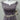City Studio Semi Formal 3