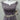 City Studio Semi Formal 3