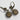 Sorrelli Earrings