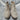 Soda Boots 9.0