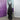 Windsor Semi Formal Small