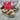 Nature Breeze Shoes Sandals 7.0