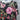 Apt. 9 Dress XL