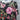 Apt. 9 Dress XL