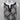 White House Black Market Dress Medium