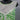 J. Howard Dress 12