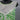 J. Howard Dress 12