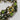Costume Jewelry Bracelet