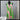 Lilly Pulitzer Dress 12