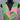 Lilly Pulitzer Dress 12