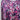 Chico's Top Medium