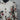 Kinguangya Jacket Large