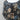 Elana Baldi Dress Small