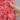 J. Crew Factory Shorts 8