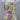 Dressbarn Dress 10