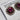 Sorrelli Earrings