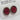 Sorrelli Earrings