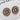 Sorrelli Earrings