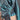 Cachet Jacket 16