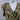Max Studio Dress Large